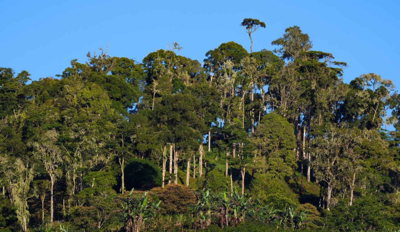 Arte De Plumas Birding Lodge Cartago Zewnętrze zdjęcie