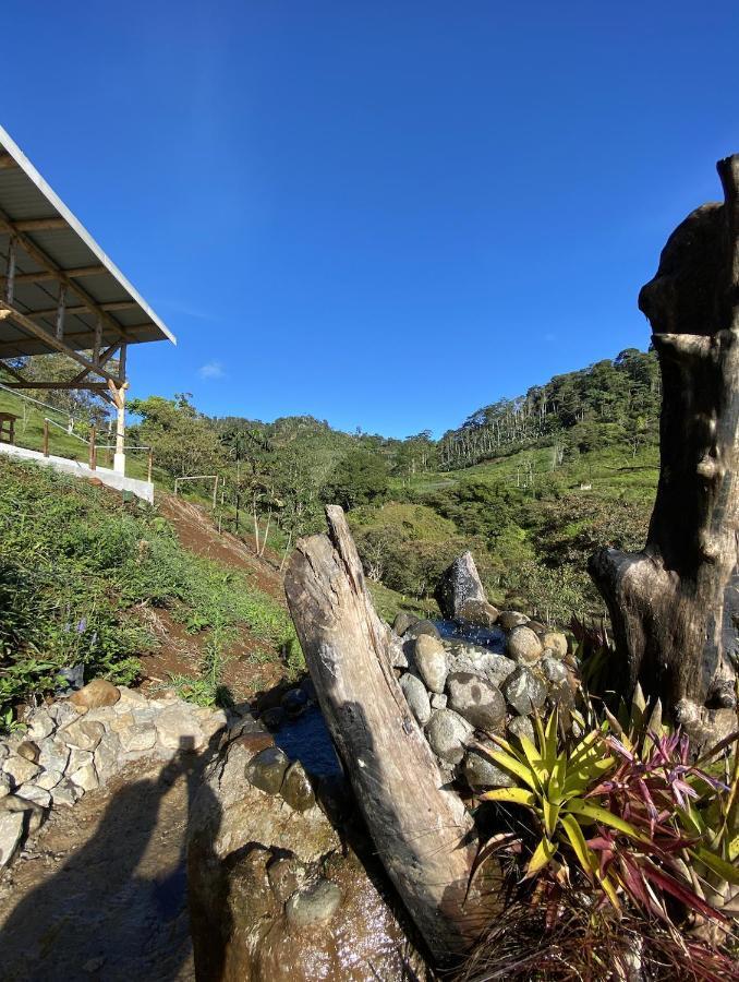 Arte De Plumas Birding Lodge Cartago Zewnętrze zdjęcie