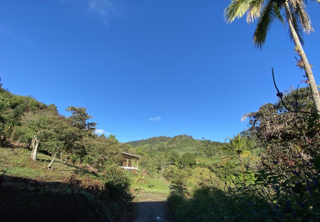 Arte De Plumas Birding Lodge Cartago Zewnętrze zdjęcie