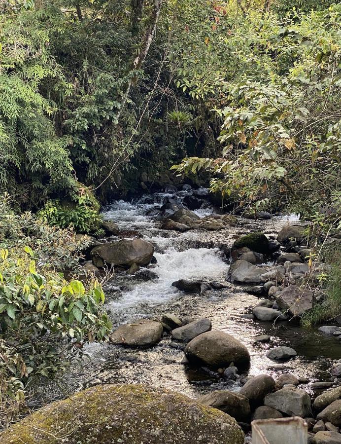Arte De Plumas Birding Lodge Cartago Zewnętrze zdjęcie