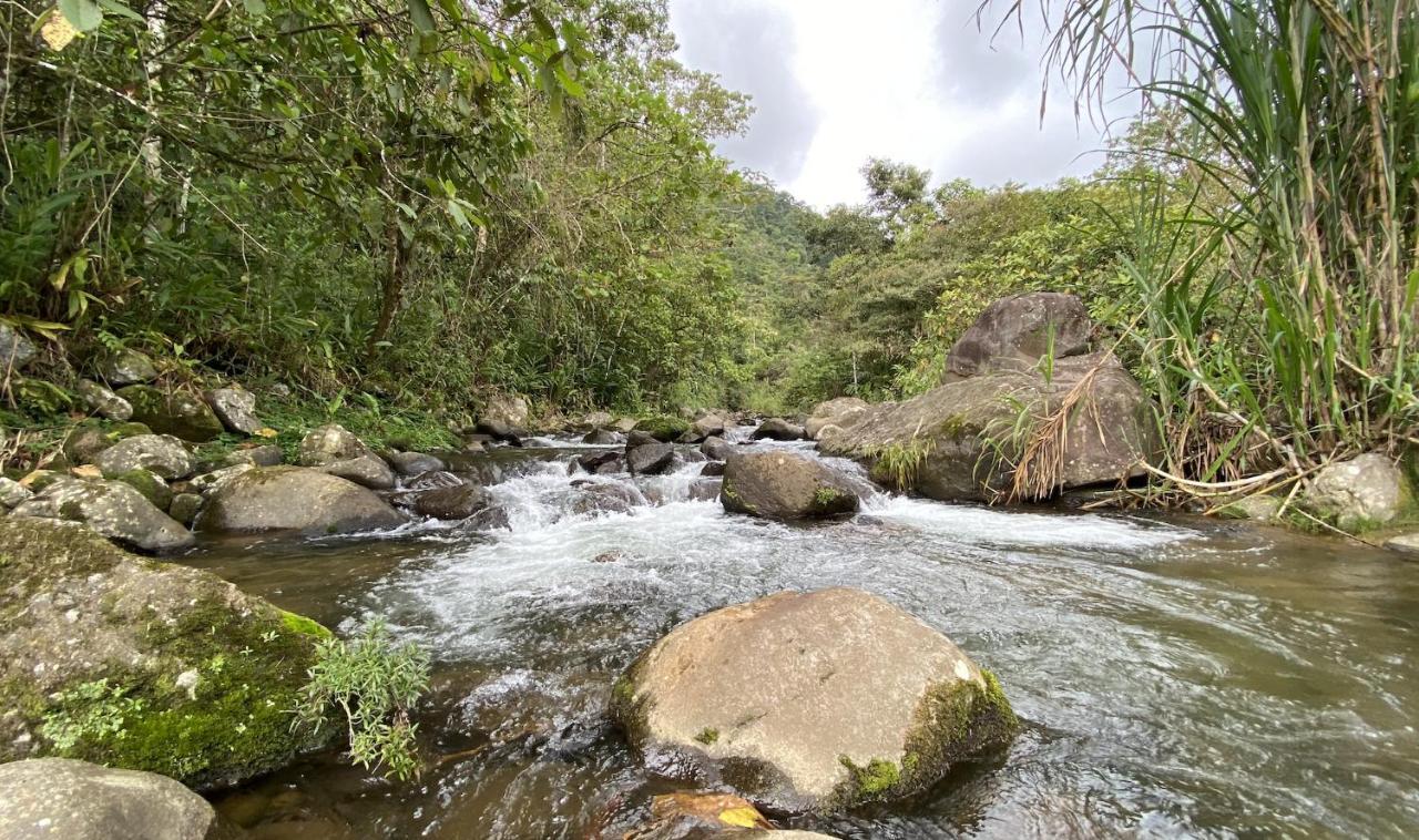 Arte De Plumas Birding Lodge Cartago Zewnętrze zdjęcie