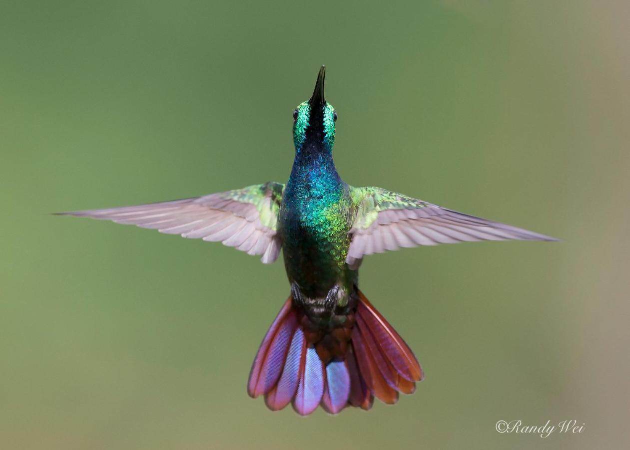 Arte De Plumas Birding Lodge Cartago Zewnętrze zdjęcie